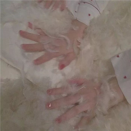 很浪漫唯美的微信聊天背景图