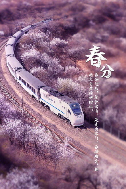 春分好看的微信素材图片