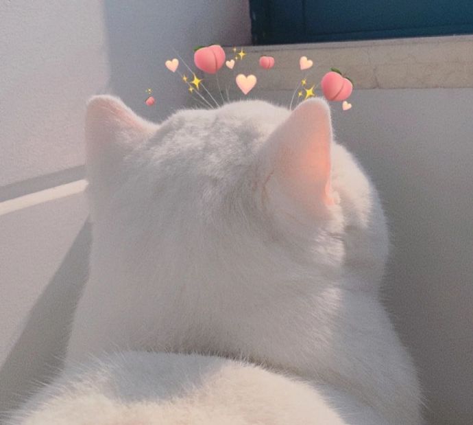 清新漂亮的个性微信头像