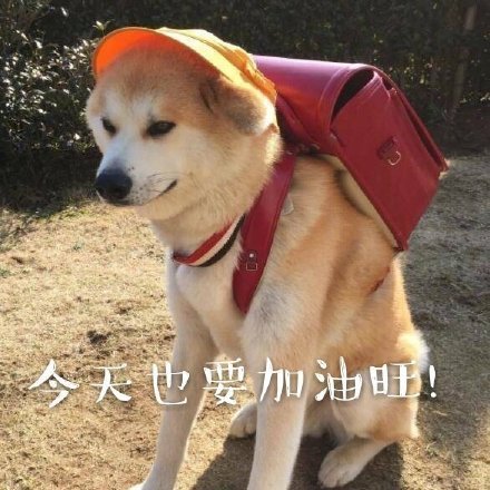 加油打气的励志微信表情包