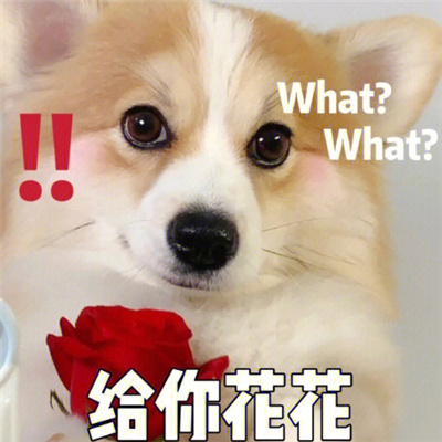 让人很喜欢的表情