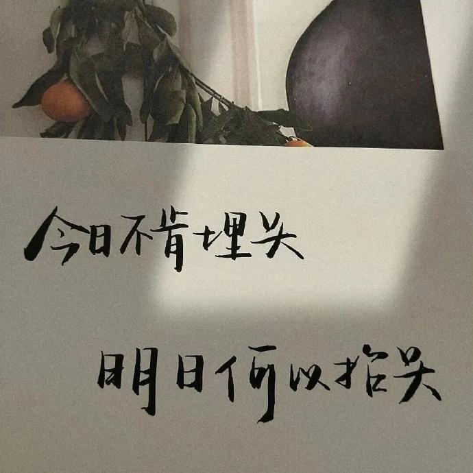 有点小清新的励志文字朋友圈配图