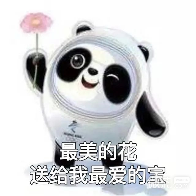 冰墩墩闪亮登场表情包