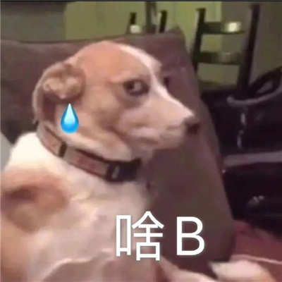 超级火的经典表情包