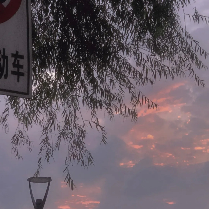 唯美清新的微信聊天背景图