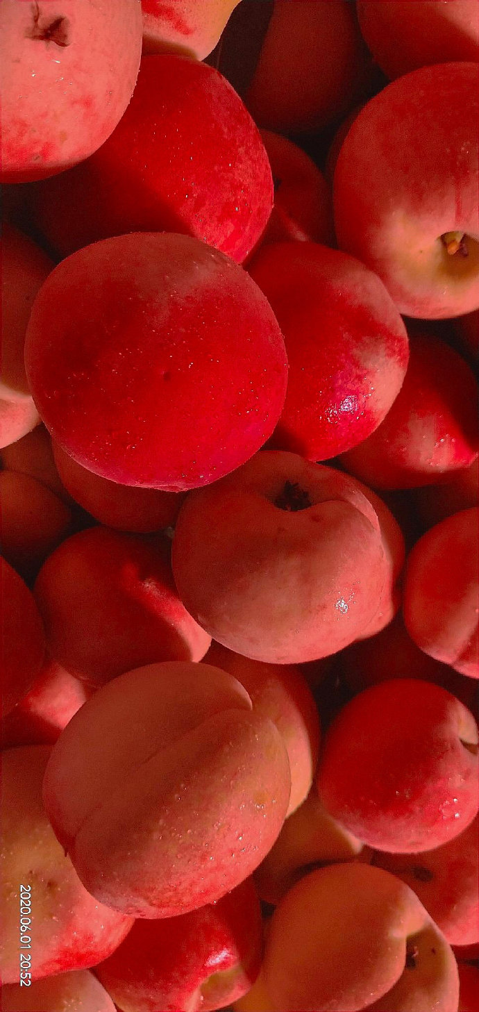 超爱的好看的手机壁纸