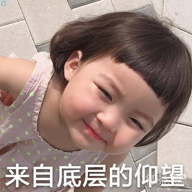 新颖沙雕微信表情包