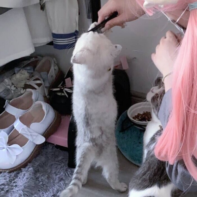 甜美范儿的闺蜜微信头像