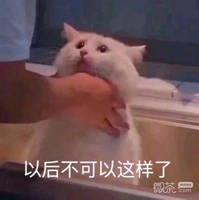 又沙雕又可爱的聊天微信表情包