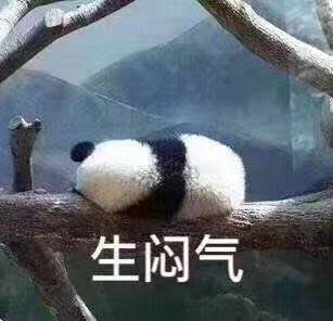 最新日常聊天沙雕微信表情包