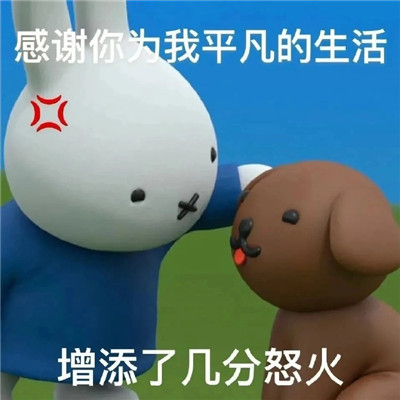 实用受欢迎的搞笑聊天微信表情包