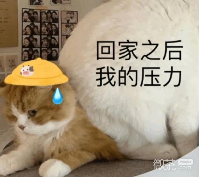 斗图聊天可用的微信表情包