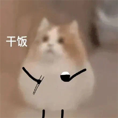 欢乐搞笑表情包