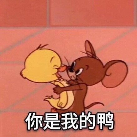 沙雕猫和老鼠系列微信表情包