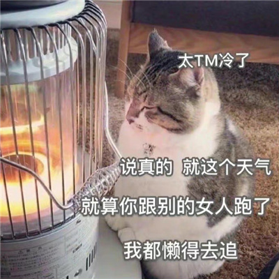 发给男朋友的搞怪表情