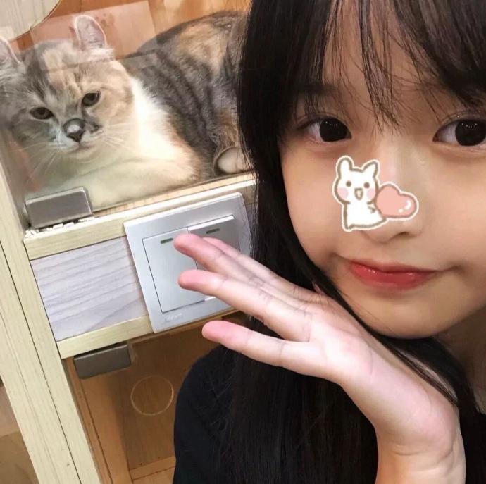 多风格个性微信头像