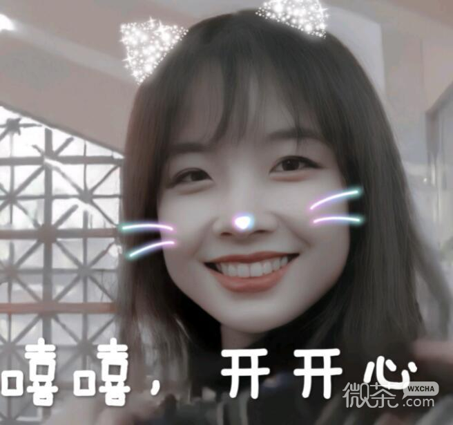 可爱主持人王冰冰微信表情包