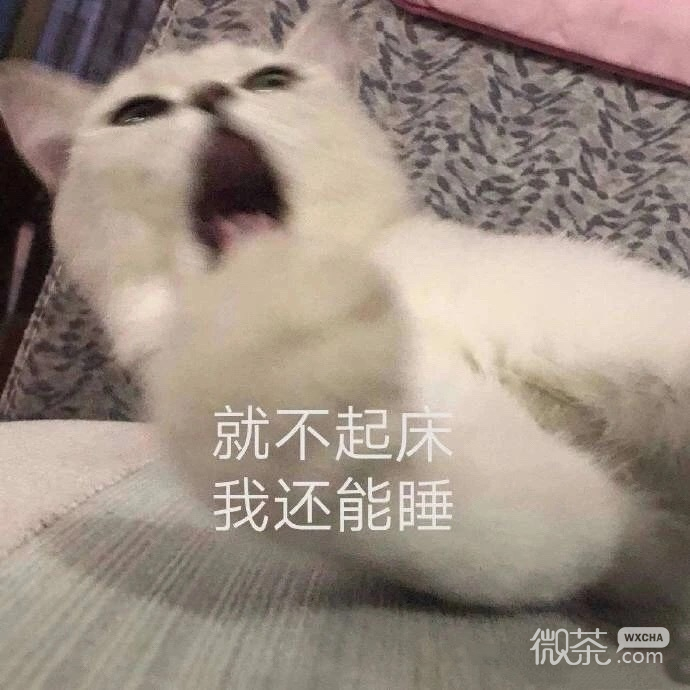 不想起床搞笑微信表情包