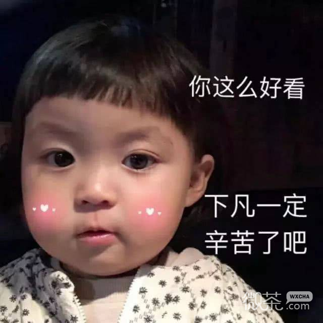 新颖沙雕微信表情包