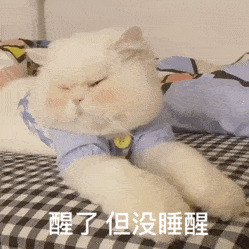 超可爱的小猫咪动态微信表情包