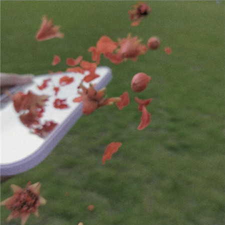 浪漫且小众的微信朋友圈背景图