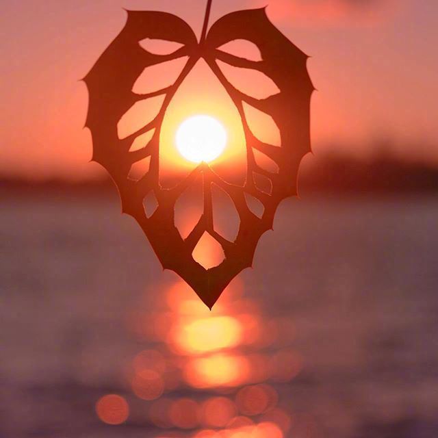 唯美意境拍照手法微信素材图片