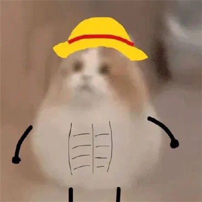 打劫小猫搞笑表情