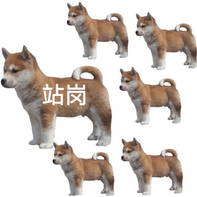 站岗小狗表情包合集