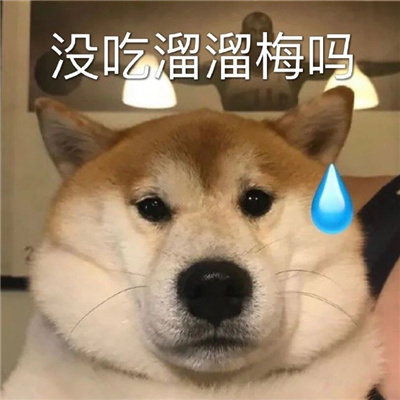 很有趣的带字表情包