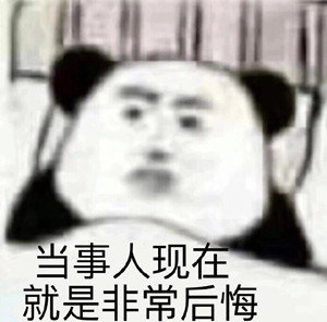 沙雕真实熊猫头微信表情包