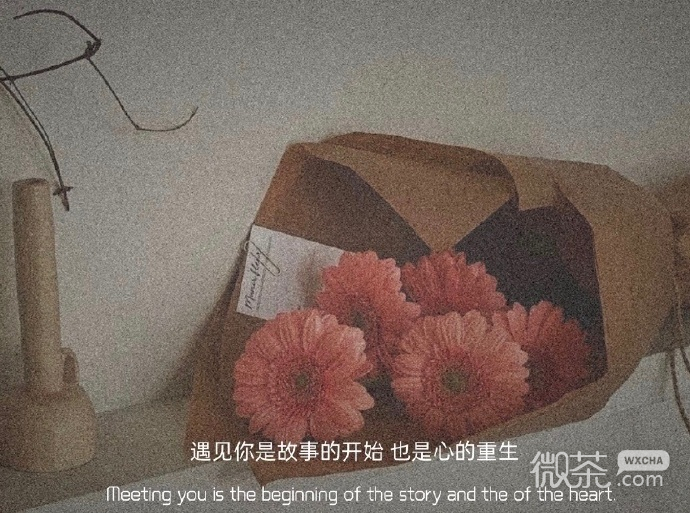 唯美文艺优美的微信聊天背景图