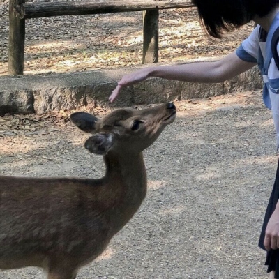 甜美范儿的闺蜜微信头像