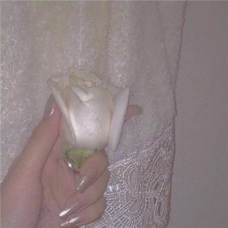 很浪漫唯美的微信聊天背景图