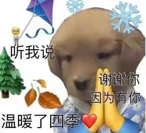 听我说谢谢你因为有你表情包