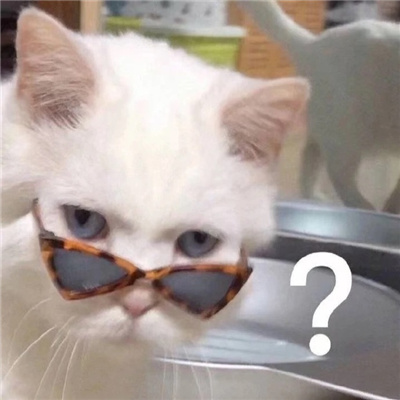 拥有欢乐的趣味幽默表情