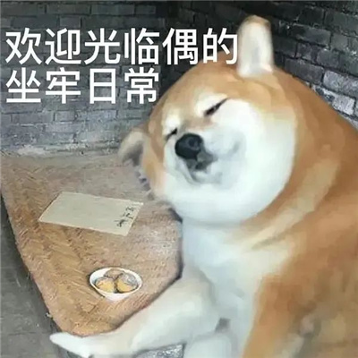 沙雕聊天搞怪必备表情包