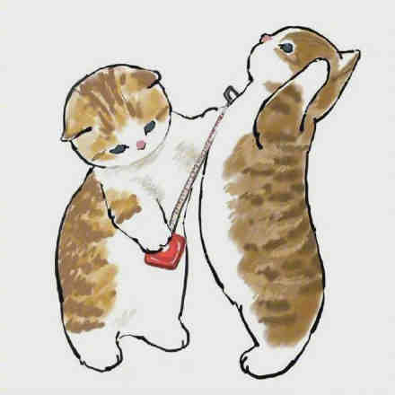 猫咪减肥计划可爱微信表情包
