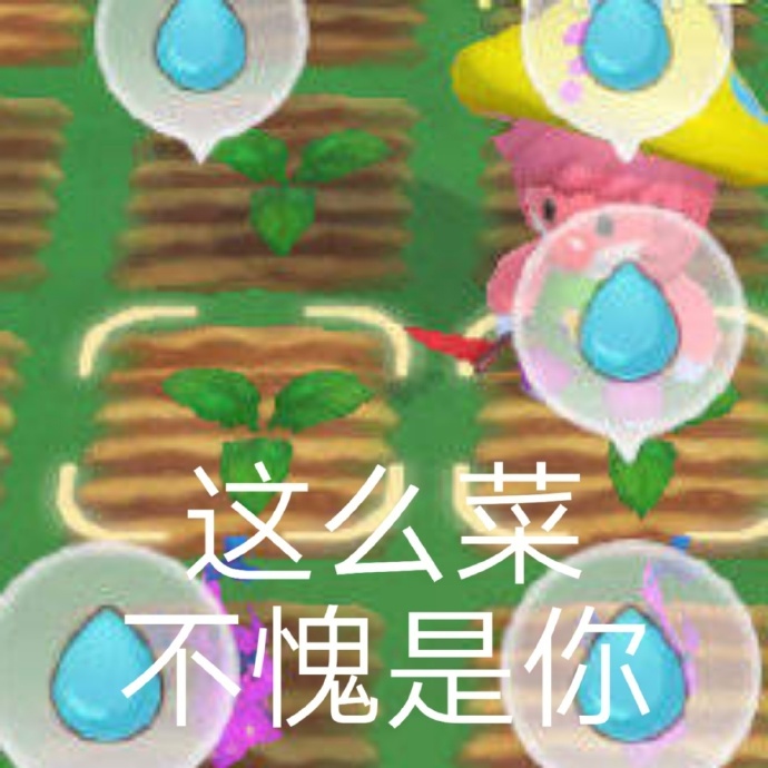最新的摩尔庄园聊天微信表情包