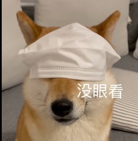 最新可爱沙雕微信表情包