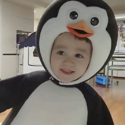 可爱的本特利微信头像