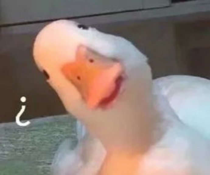 小可爱鸭子微信表情包