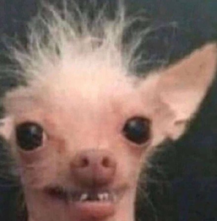 恶搞后的沙雕脸微信表情包