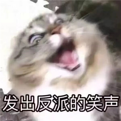 超开心的哈哈哈哈斗图微信表情包