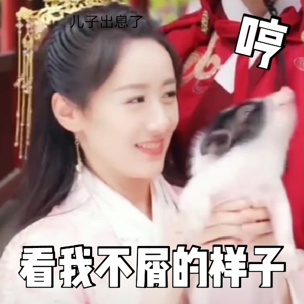 袁冰妍抱着猪猪沈嗷嗷可爱微信表情包