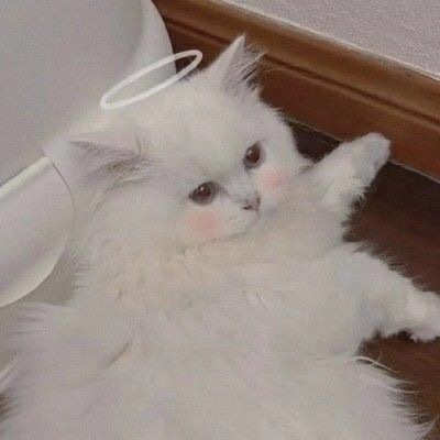 好看的闺蜜个性微信头像