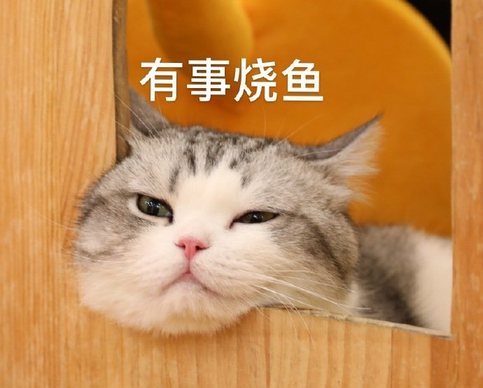 怒怼恶搞幽默微信表情包