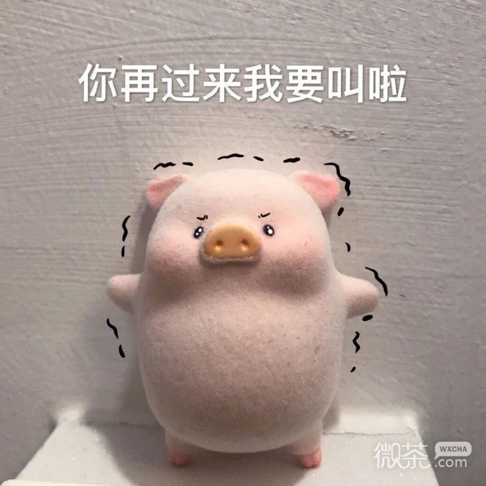 玩偶猪猪搞笑微信表情包