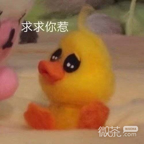 沙雕可爱聊天微信表情包