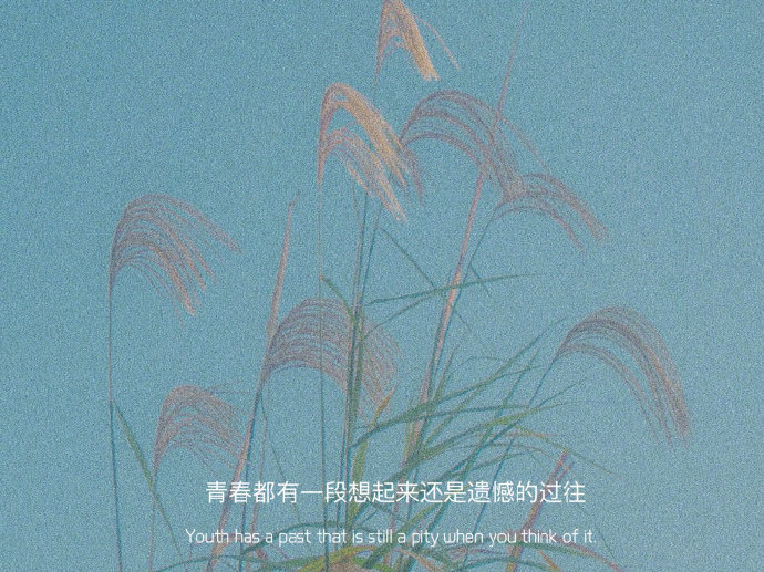 精选优质的微信聊天背景图