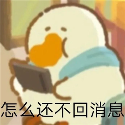 最新版肥鹅趣味表情包